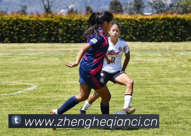 半岛在线登录首页发展历程